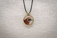 Acentor com&uacute;n