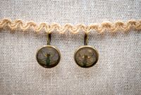 Lib&eacute;lula verde