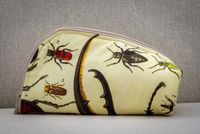 estuche escarbajos tumbado